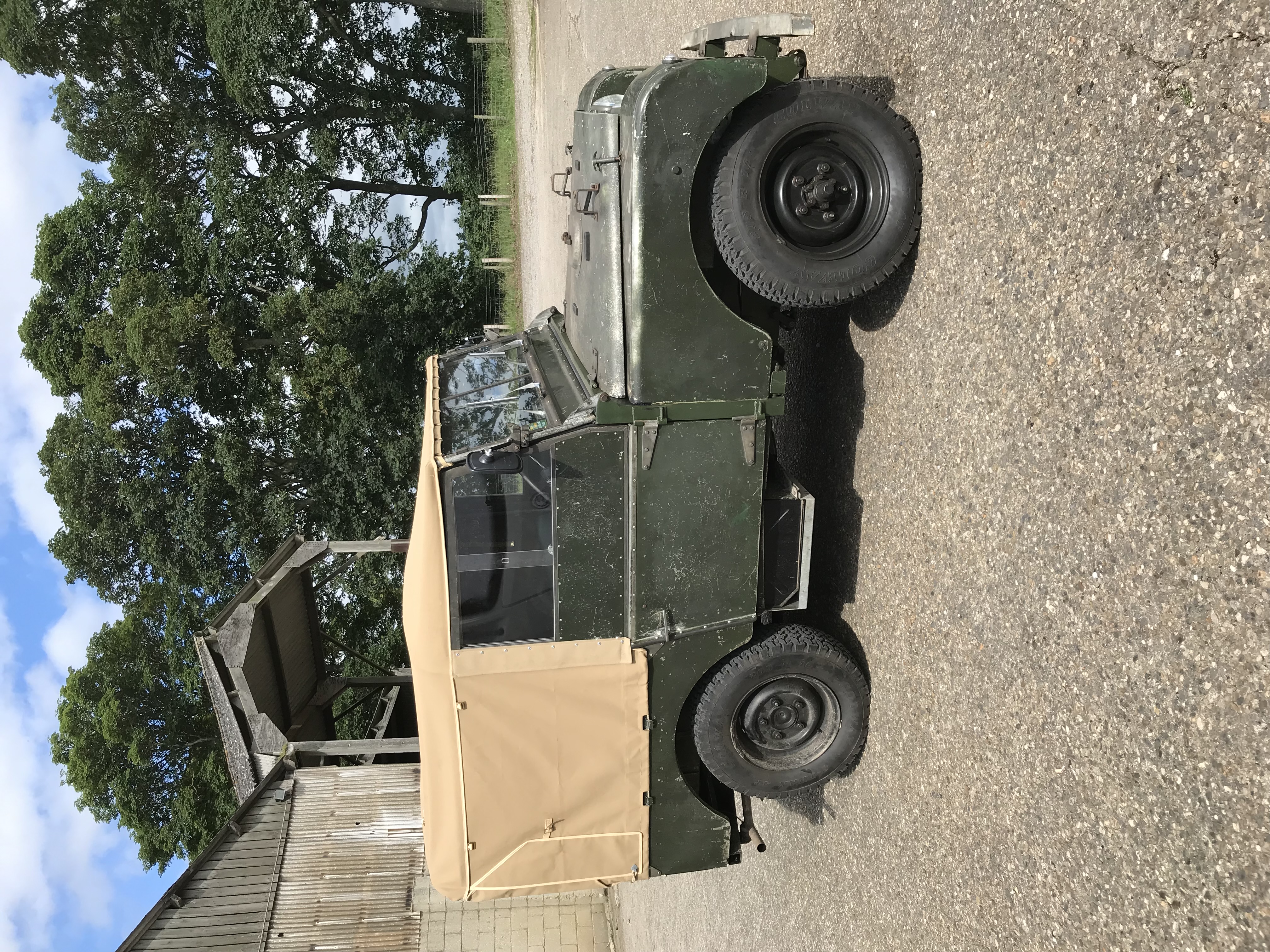 IMG_3554.jpeg